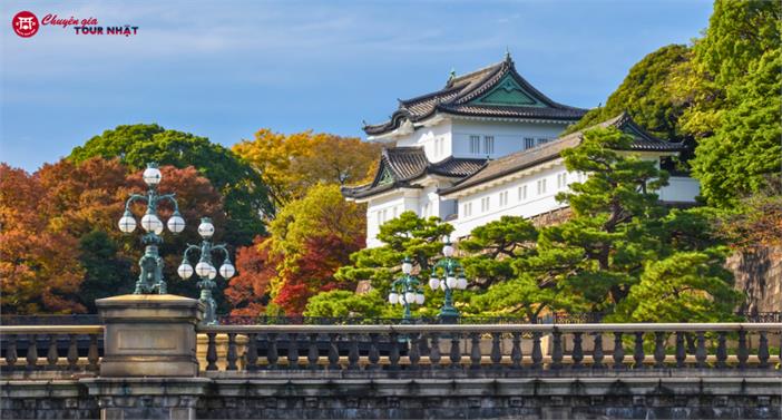 Tour Nhật Bản Mùa Thu 6N5Đ: Cung Đường Tokyo - Phú Sĩ